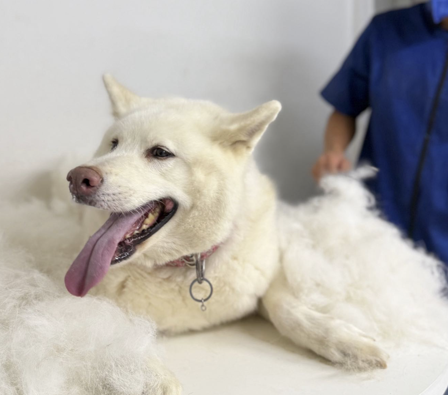 Centro cirúrgico moderno